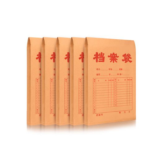 档案袋